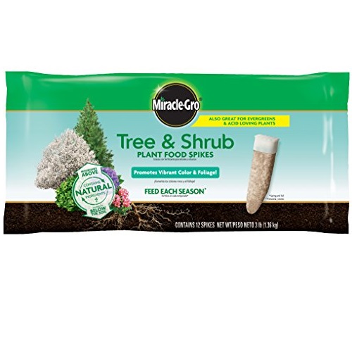 Miracle-Gro Tree & Shrub Fertilizer Spikes - 12 PK, Only $9.26