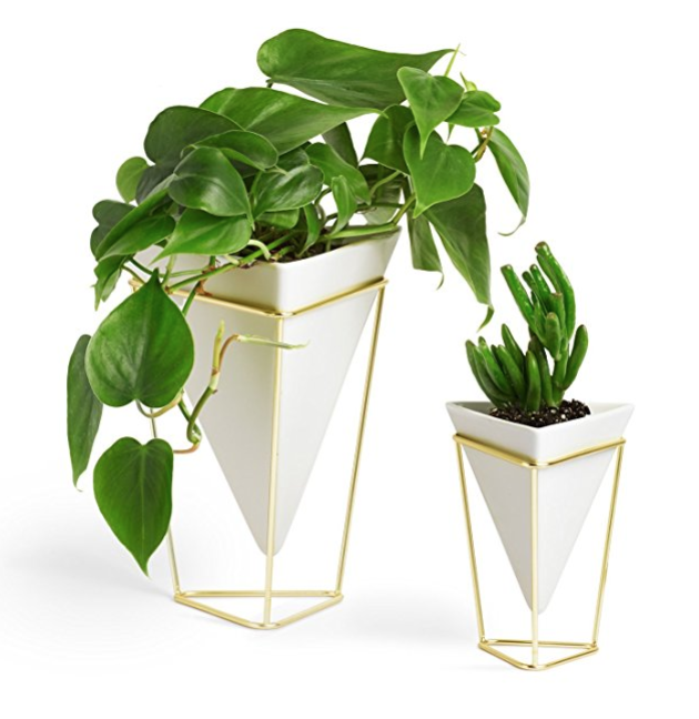 Umbra Trigg Desktop Planter Vase & Geometric Container - Great For Succulent Plants, Air Plant, Mini Cactus, Faux Plants and More, White Ceramic/Brass (Set of 2) only $25.99