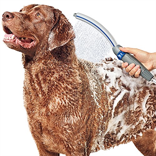 Waterpik PPR-252 Pet Wand Pro Dog Shower Attachment For Indoor-Outdoor Use, 13