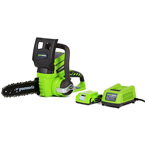 Greenworks 10-Inch 24V Cordless Chainsaw, 2.0 AH Battery Included 20362 $$81.21