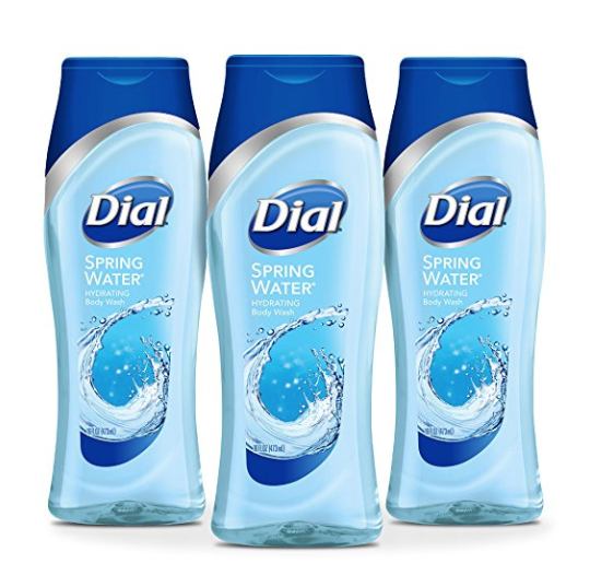 Dial Body Wash, Spring Water with All Day Freshness, 16 Fluid Ounces (Pack of 3) only $11.68