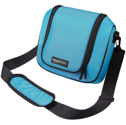 AmazonBasics Travel bag for Nintendo 2DS XL - Turquoise $10.69