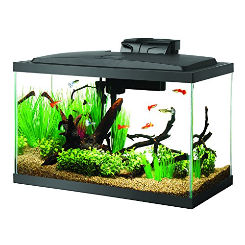 Aqueon Aquarium Fish Tank Starter Kits with LED Lighting, Only $44.99, free shipping