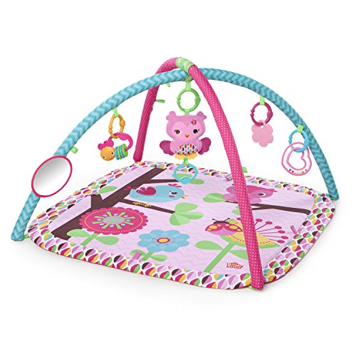 Bright Starts Charming Chirps Activity Gym, Pretty In Pink, Only $22.99