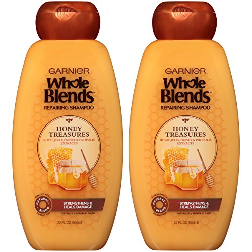 Garnier Hair Care Whole Blends Repairing Shampoo Honey Treasures for Damaged Hair, 2 Count, Only $7.98