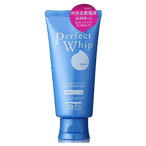 Shiseido Fitit Perfect Whip Cleansing Foam 4.2oz./120ml $8.99，free shipping