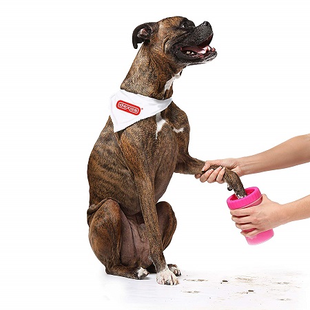 Dexas MudBuster Portable Dog Paw Cleaner, Small, Pink, Only $13.81