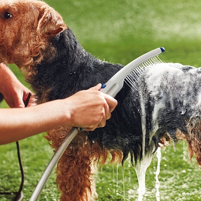 Waterpik PES-142 Pet Wand Dog Shower for Indoor-Outdoor Use 10.5
