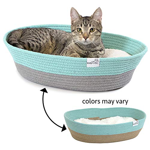 SportPet Designs Foldable Travel Cat Carrier - Front Door Plastic Collapsible Carrier, Only $14.97, You Save $8.02(35%)