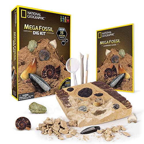 NATIONAL GEOGRAPHIC Mega Fossil Dig Kit – Excavate 15 real fossils including Dinosaur Bones, Mosasaur & Shark Teeth, Only $19.99