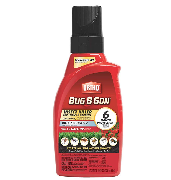 Ortho Bug B Gon Insect Killer for Lawn & Gardens Concentrate1-32 fl oz| Kills Spiders only $5.75
