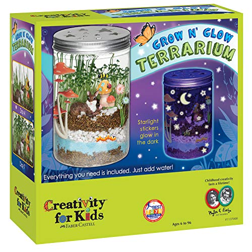 Creativity for Kids Grow 'n Glow Terrarium - Science Kit for Kids, Only $12.99