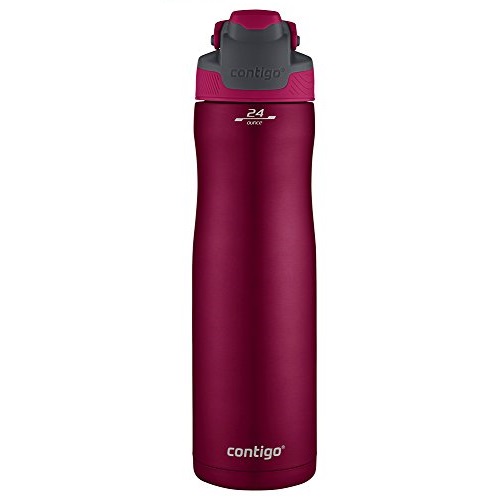 Contigo AUTOSEAL Chill Vacuum-Insulated Stainless Steel Water Bottle, 24 oz., Very Berry, Only $13.80