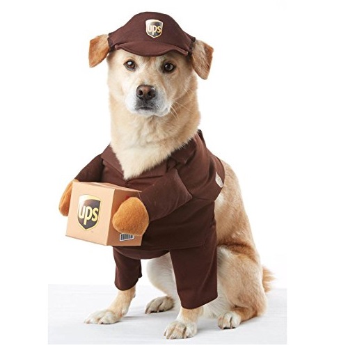 California Costume Collections PET20151 UPS Pal Dog Costume, Large, Only $12.50