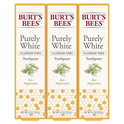 Burt's Bees Toothpaste, Natural Flavor, Fluoride Free Purely White, Zen Peppermint, 4.7oz 3 Count, Only $7.58