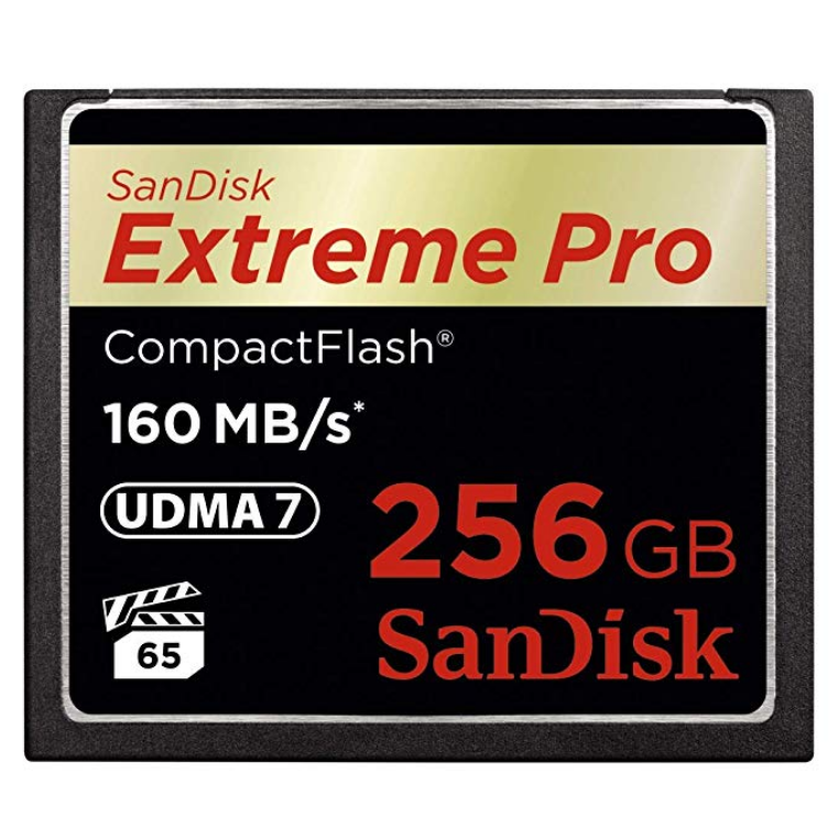 SanDisk Extreme PRO 256GB CompactFlash Memory Card UDMA 7 Speed Up To 160MB/s- SDCFXPS-256G-X46 $219.99 FREE Shipping