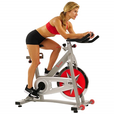 Sunny Health & Fitness Pro Indoor Cycling Bike with 40 LB Chromed Flywheel, Dual Felt Pad Resistance with Caged Pedals, Adjustable Seat and Handlebar, 275 LB Max Weight $160.13 free shipping