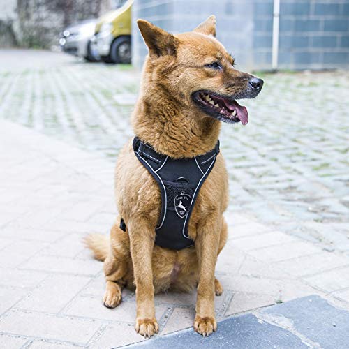 PUREBOX Dog Harness, No-Pull Front Range Comfort Harness Four Points of Adjustment Dog Harness 3M Reflective Oxford Material, Easy Control