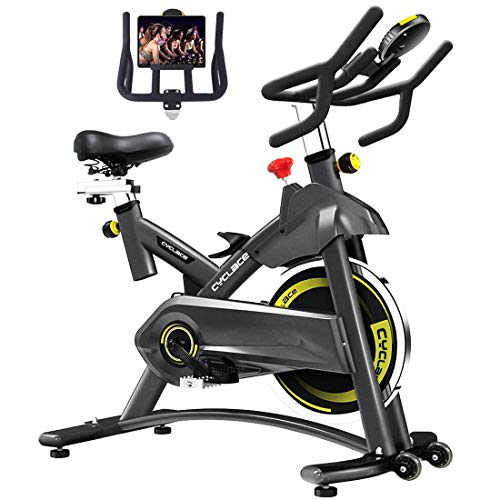Cyclace Indoor Exercise Bike Stationary Cycling Bike with Ipad Holder for Home Workout, Only $253.30