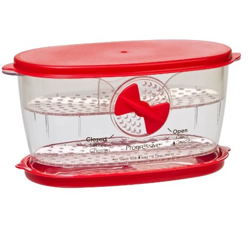 Prepworks by Progressive Berry Keeper, Only $5.97
