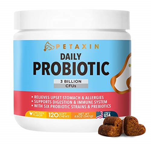 Petaxin Probiotics for Dogs - 6 Strains with Prebiotics - Supports Digestive and Immune System –  - 120 Chews, Only $19.99 after using coupon code