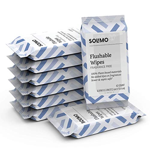 Amazon Brand - Solimo Flushable Adult Toilet Wipes, Fragrance Free, 336 Count (8 packs of 42) $11.99