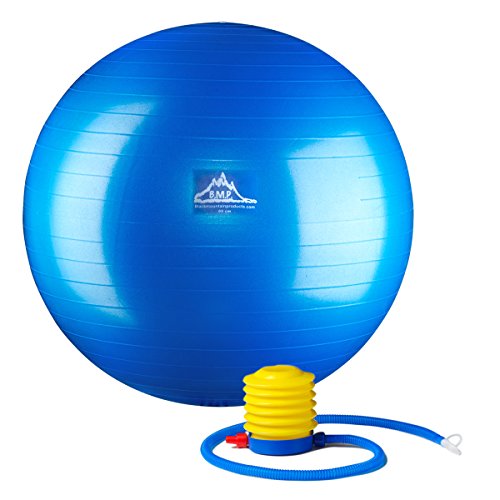 Black Mountain Products Professional Grade Stability Ball 1000lbs Anti-Burst 2000lbs Static Weight Rated $9.58
