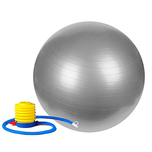Sunny Health & Fitness Anti-Burst Gym Ball $9.99