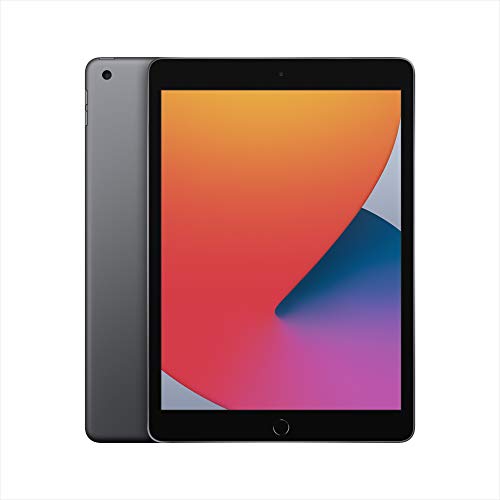 New Apple iPad (10.2-inch, Wi-Fi, 32GB) - Space Gray (Latest Model, 8th Generation), Only $299.99, You Save $29.01 (9%)