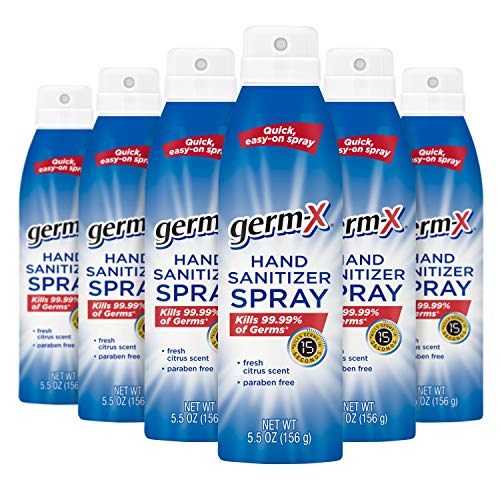 Germ-X 免洗洗手消毒喷雾，5.5 oz/瓶，共6瓶，现仅售$23.82