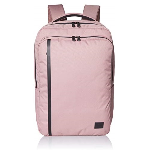 Herschel Travel Backpack, Ash Rose, 20.0L, Only $59.50, You Save $40.49 (40%)