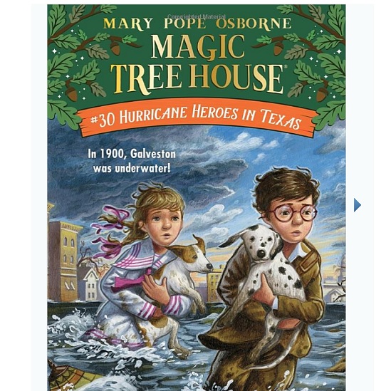 Amazon：《Magic Tree House 神奇的树屋》丛书