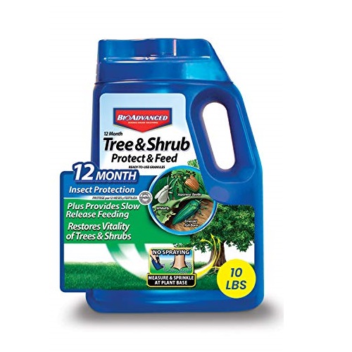 BIOADVANCED 701910A 12-Month Tree and Shrub Protect and Feed Insect Killer and Fertilizer, 10-Pound, Granules, Only $33.98