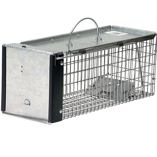 Havahart 0745 One-Door Animal Trap for Chipmunk, Squirrel, Rat, and Weasel, X-Small, only $19.97
