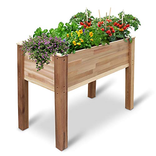 Jumbl Raised Canadian Cedar Garden Bed | Elevated Wood Planter for Growing Fresh Herbs, Vegetables, Flowers, Succulents & Other Plants at Home  | 34x18x30”, Only $99.99