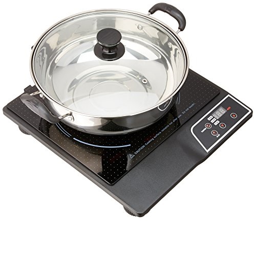 Oyama IH Portable Induction Cook Top, List Price is $74.00, Now Only $45.94, You Save $28.06 (38%)