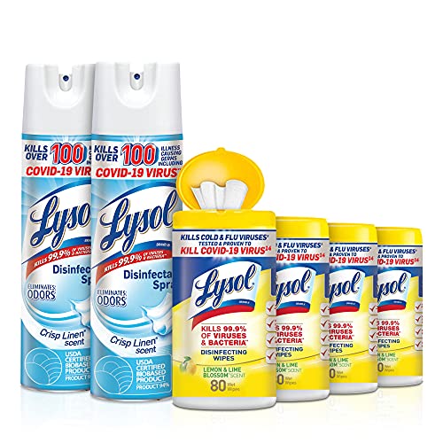 Lysol Disinfecting Wipes and Spray Value Pack Bundle, List Price is $28.98, Now Only $17.83