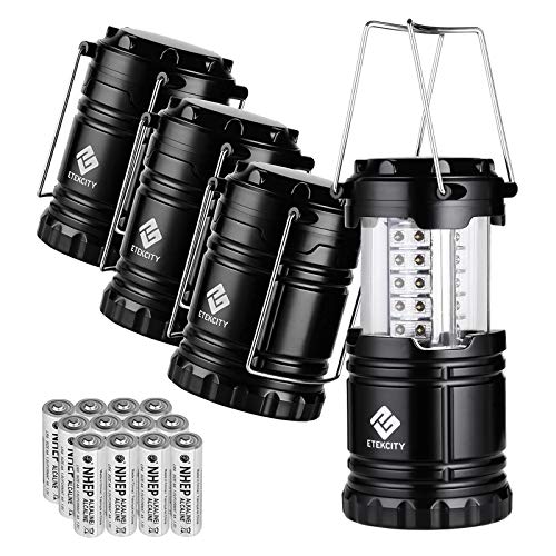 Etekcity Lantern Camping Lantern Battery Powered Lights for Power Outages, Home Emergency, Camping, Hiking, Hurricane, A Must Have Camping Accessories, Portable & Lightweight,  $19.42