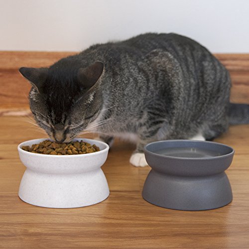 Kitty City Cat Bowl, 6.5 ounce, 2 count, List Price is $7.99, Now Only $6.69, You Save $1.30 (16%)
