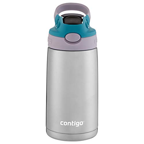 Contigo Kids Stainless Steel Water Bottle with Redesigned AUTOSPOUT Straw, 13 oz, Taro & Juniper, List Price is $16.99, Now Only $8.99