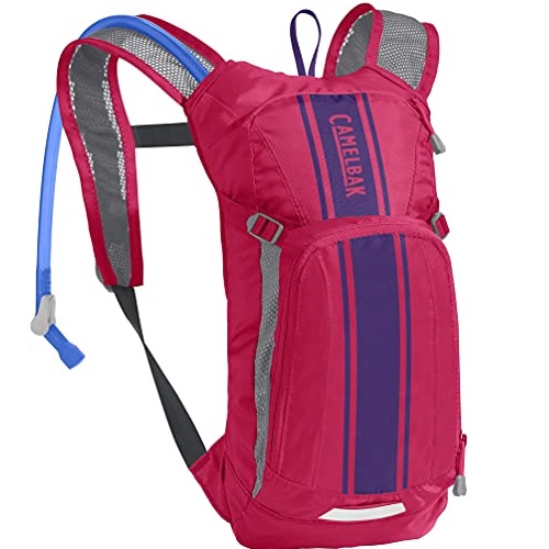 CamelBak Mini M.U.L.E. Kids' Hydration Backpack - 50 oz Hot Pink/Purple Stripe, List Price is $55, Now Only $33.30