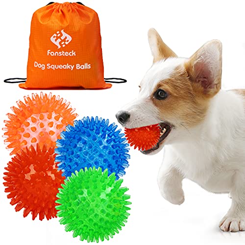 Puppy Toys Squeaky Balls for Dogs, 4 PCS Durable Dog Toy Balls with High Bounce, TPR Soft Stab Puppy Chew Toys Balls Interactive Dog Toys for Small Medium Pet Dogs