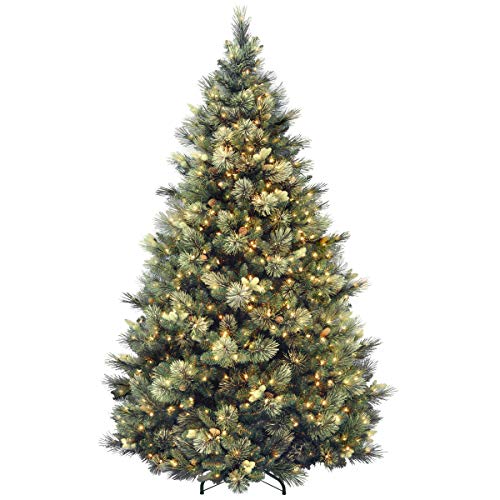 节后大降价！National Tree 卡罗莱纳州松树圣诞树，自带白色灯，7.5 英尺高，仅售$277.24 (55% off)