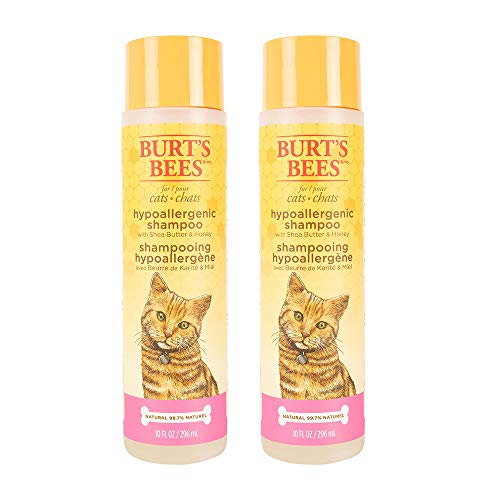 Burt's Bees for Cats Hypoallergenic Shampoo With Shea Butter & Honey | Moisturizing & Nourishing Cat Shampoo | Cruelty Free, Sulfate & Paraben Free, pH Balanced for Cats, 10 Oz - 2 Pack, Only $12.56