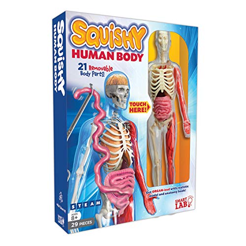史低價！SmartLab 可拆卸器官  柔軟的人體玩具，原價$29.99，現點擊coupon后僅售$9.37
