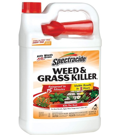 Spectracide Weed & Grass 除草剂，1加仑，原价$13.84 ，现仅售$7.62，免运费！