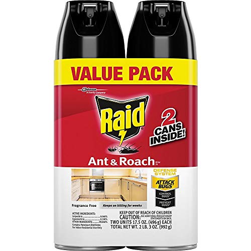 史低價！Raid 雷達 螞蟻/蟑螂 殺蟲噴霧，17.5 oz/瓶，共2瓶，現點擊coupon后僅售 $5.65