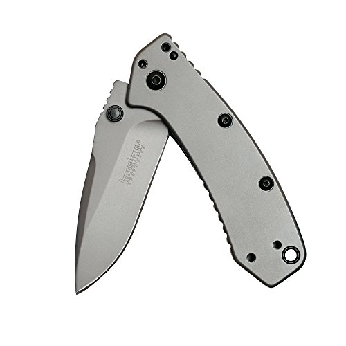Kershaw Cryo Folding Knife (1555TI); 2.75” 8Cr13MoV Steel Blade, Stainless Steel Handle, Titanium Carbo-Nitride Coating, SpeedSafe Assisted Open, Frame Lock, 4-Position Deep-Carry Pocketclip; $28.68