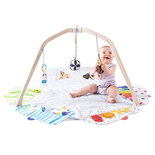 The Play Gym by Lovevery | Stage-Based Developmental Activity Gym & Play Mat for Baby to Toddler, 1 Count (Pack of 1), Now Only $105.74