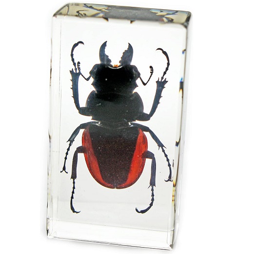 REALBUG Orange Stag Beetle Paperweight (2.9x1.6x1), only 7.39